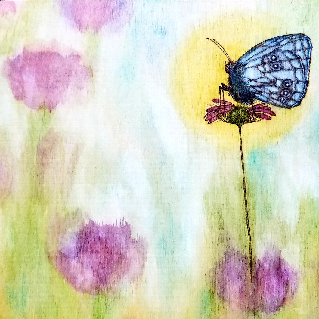 Butterfly Morning Rise