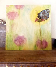 Butterfly Morning Rise