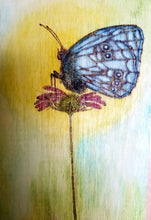 Butterfly Morning Rise