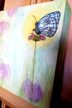 Butterfly Morning Rise