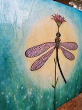 Moonlight Dance Dragonfly
