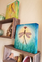 Moonlight Dance Dragonfly