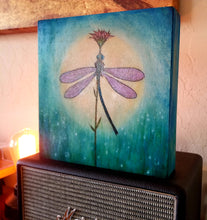 Moonlight Dance Dragonfly