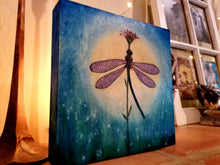Moonlight Dance Dragonfly