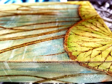 "Realization" Lotus Garden