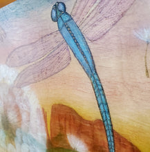 Wishes Over Cathedral Rock