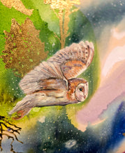 Feathered Constellation