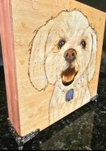 Pyrography Pet Portrait