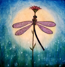 Moonlight Dance Dragonfly