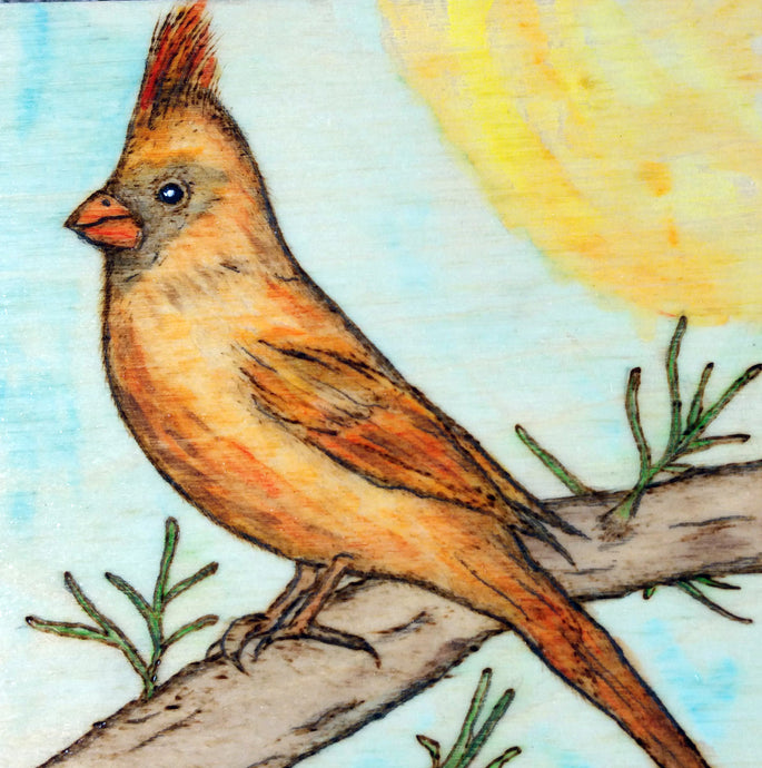 Cardinal Woodburning and Watercolor Painting