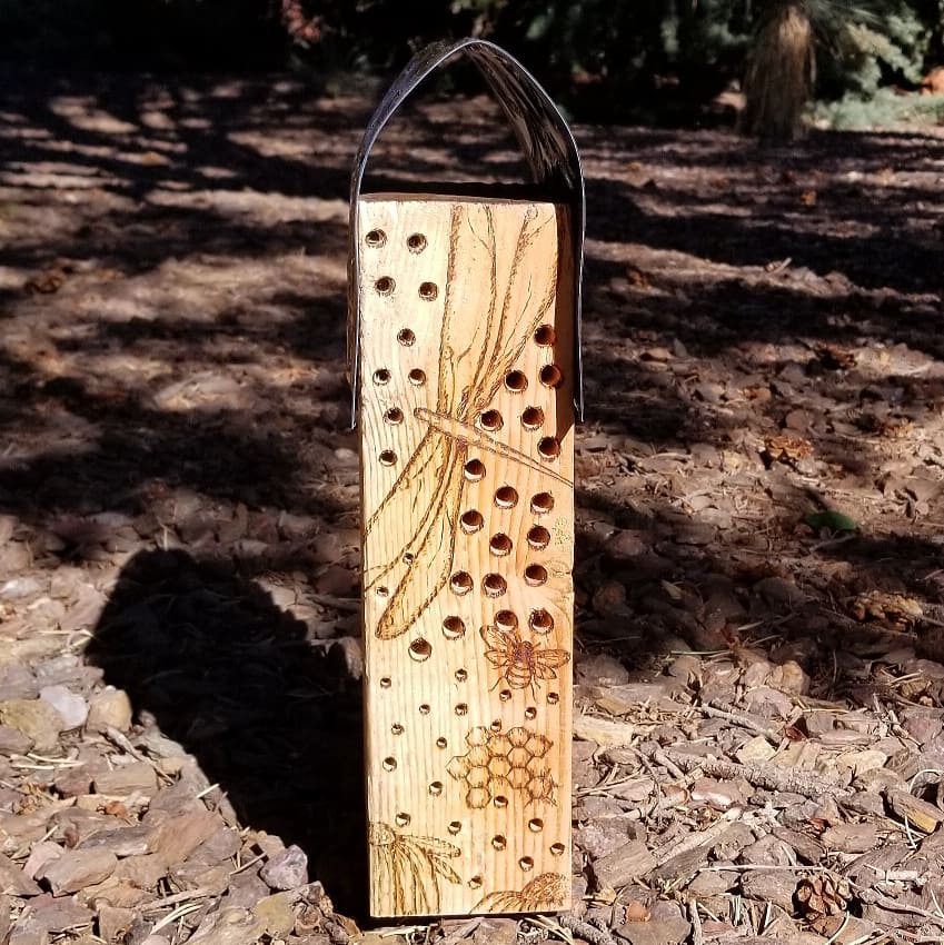 Bee House with Dragonfly Design