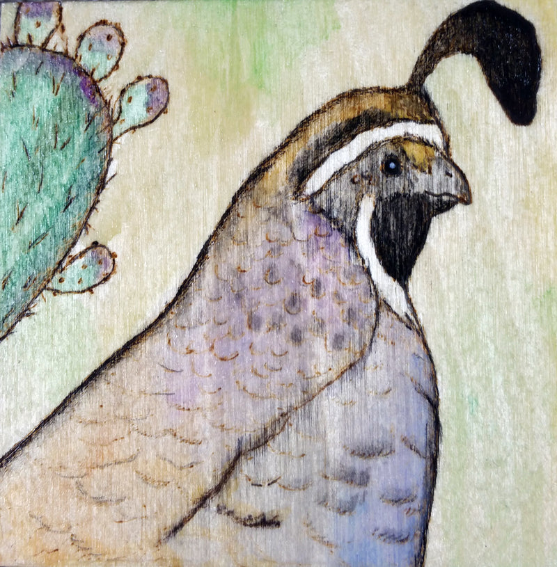 Quail Woodburned good Painting